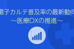 電子カルテ普及率